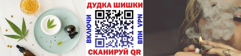 где найти   Дно  Canna-Cookies конопля 