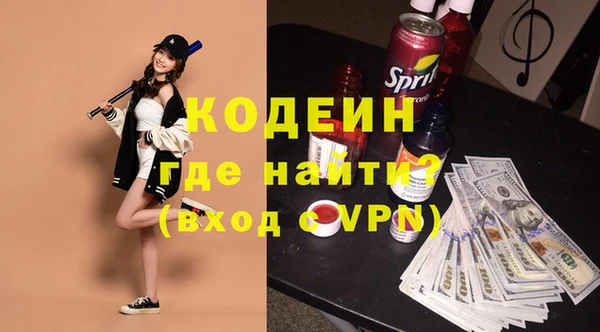 хмурый Аркадак