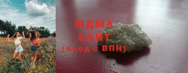 хмурый Аркадак