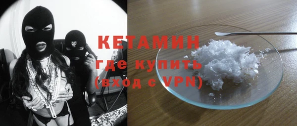 хмурый Аркадак