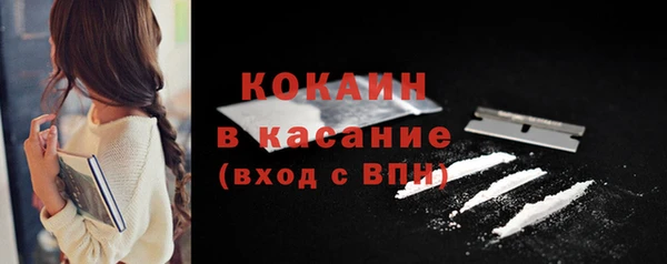 хмурый Аркадак