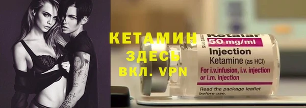 хмурый Аркадак