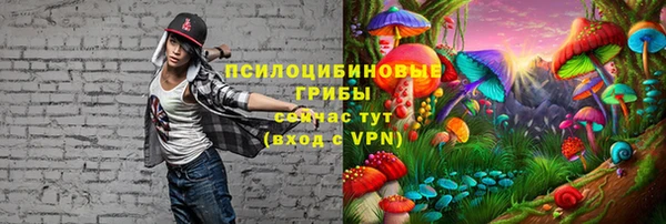2c-b Арсеньев