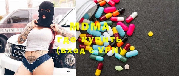 хмурый Аркадак