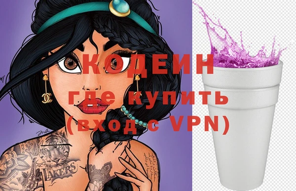 хмурый Аркадак