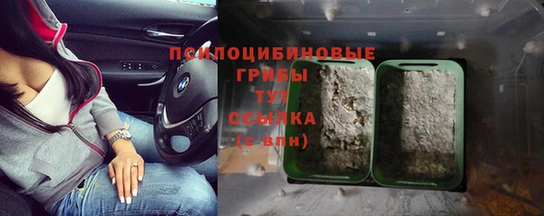 2c-b Арсеньев