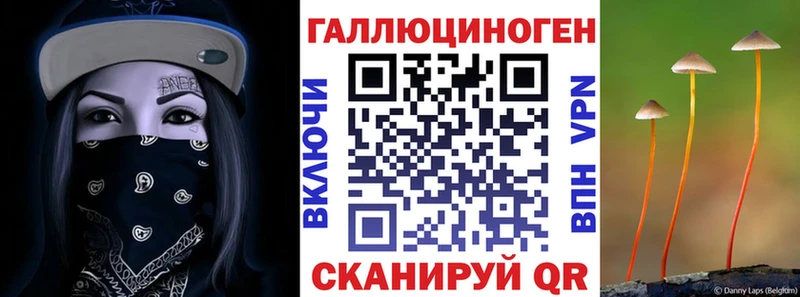 Псилоцибиновые грибы MAGIC MUSHROOMS  Дно 